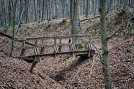 Bernhard Saalfeld - Tretschbachtal (8v9)